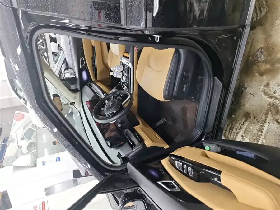 Kia Carnival Carnival 2021 2.0T Flagship Edition 2024 — миниатюра 4