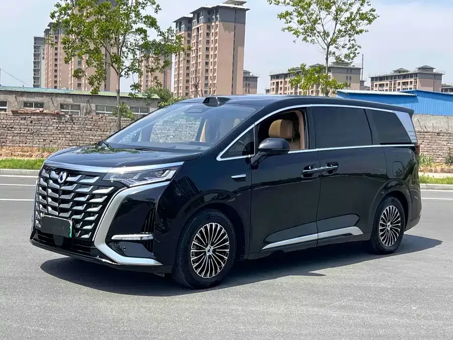 BYD D9 2025