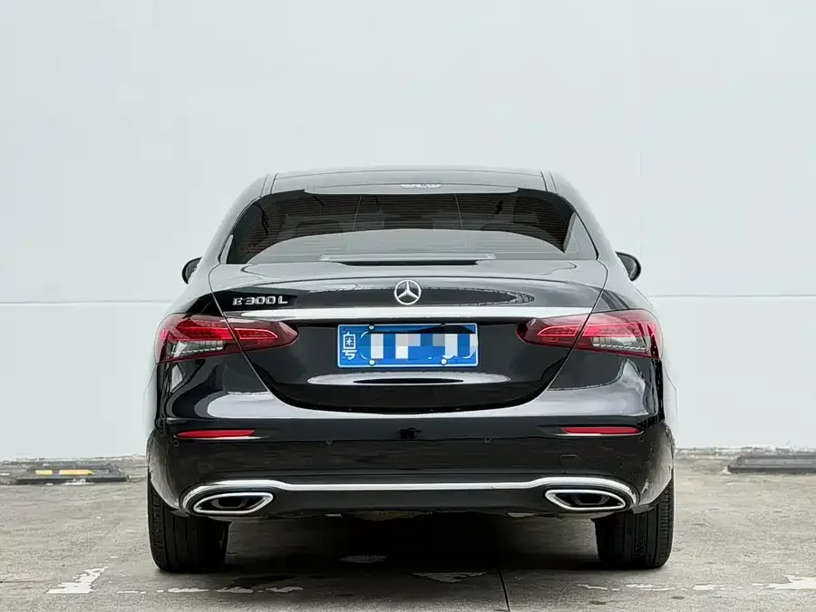 Mercedes-Benz E-Class Mercedes-Benz E-Class 2023 E 300 L Luxury Edition 2023 — миниатюра 5
