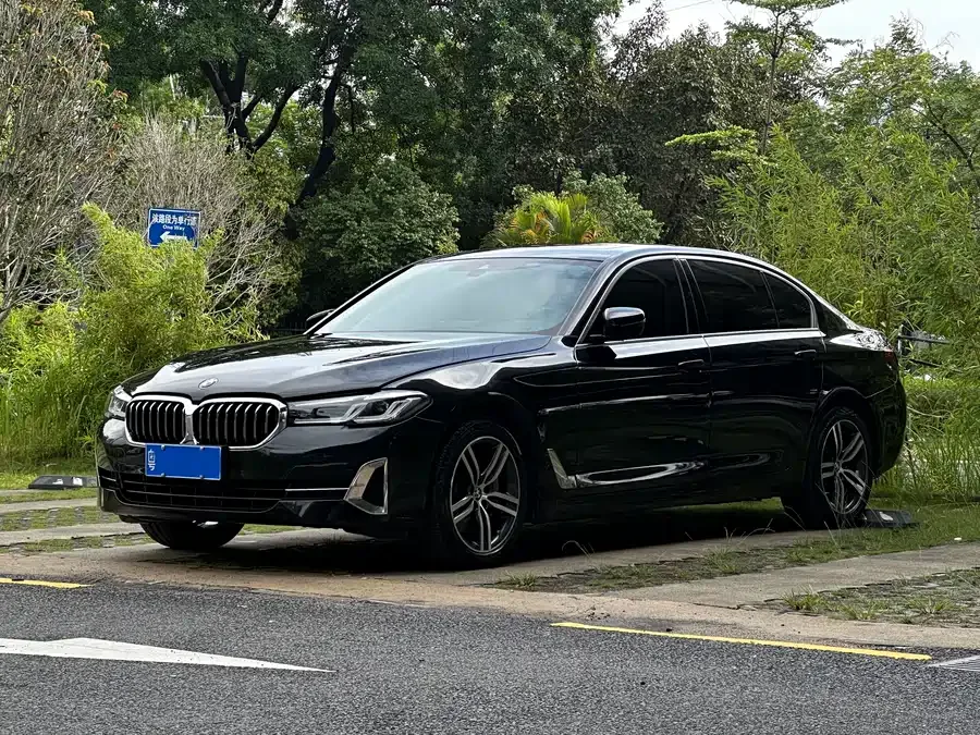 BMW 5 Series BMW 5 Series 2023 530Li Leading Luxury Package 2023 — фото 1, купить с доставкой в Москву