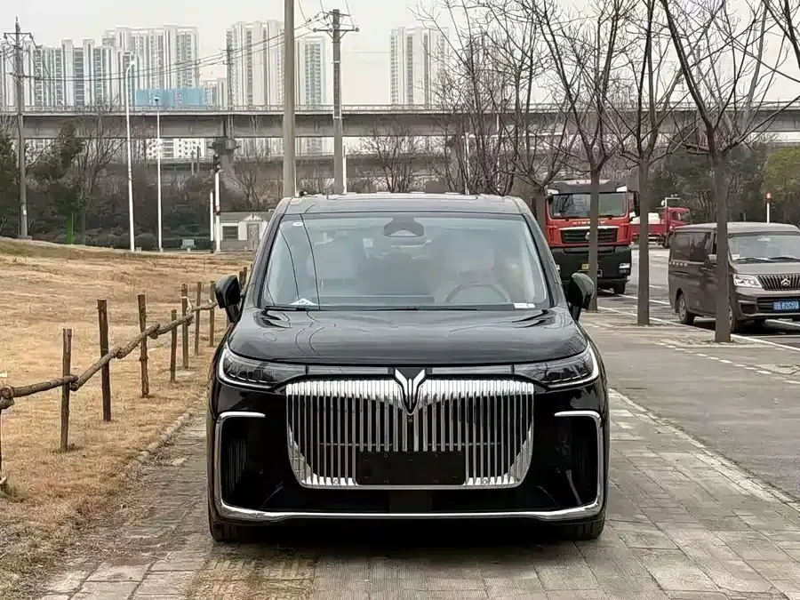 Voyah Lantu Dreamer 2025 Lantu Dreamer PHEV 4WD Premium Kunpeng Edition 2024 — миниатюра 3