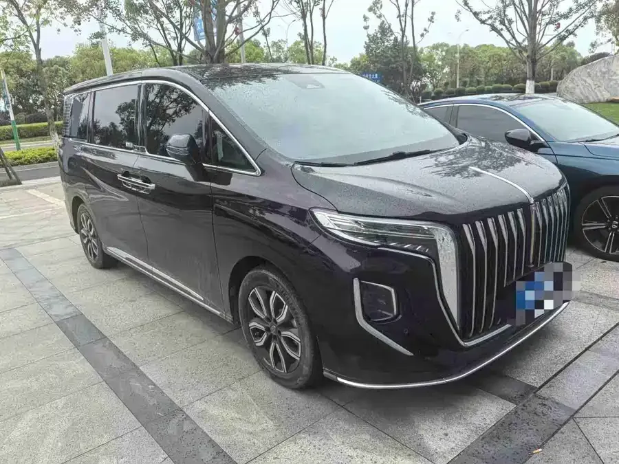 Hongqi HQ9 Hongqi HQ9 2023 2.0T Intelligent Connection Flagship Edition 2023 — миниатюра 3