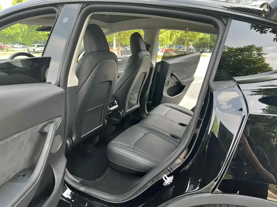 Tesla Model Y Model Y 2023 rear-wheel drive version 2023 — миниатюра 3