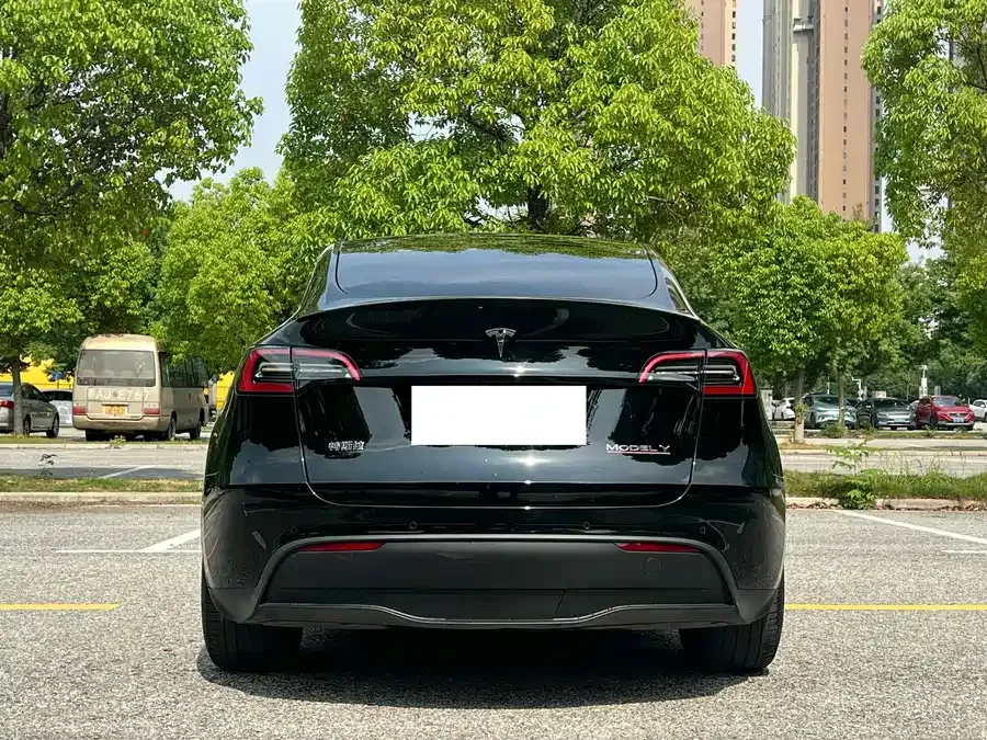 Tesla Model Y Model Y 2023 rear-wheel drive version 2023 — миниатюра 5
