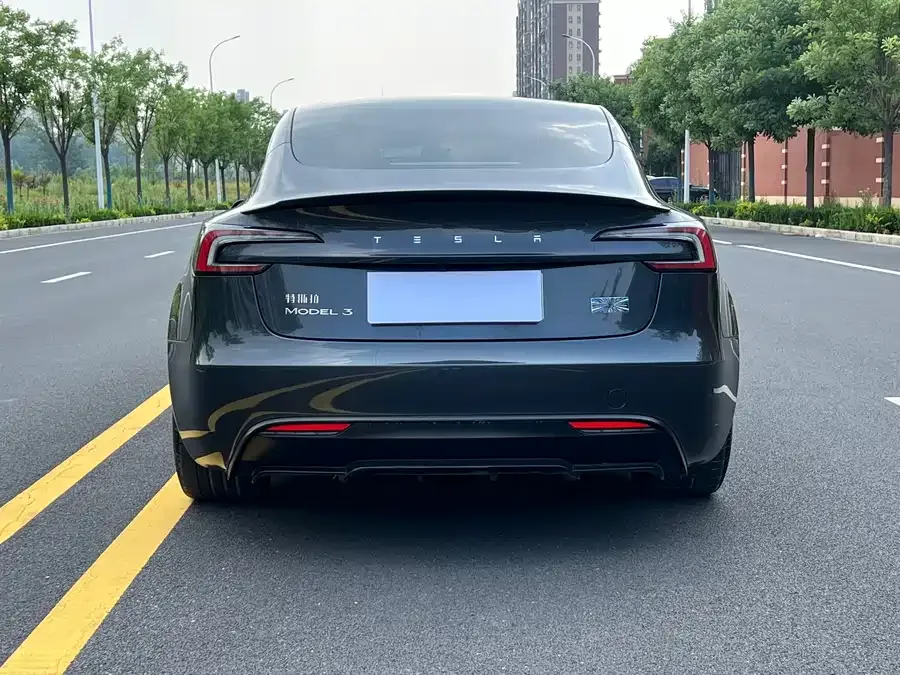 Tesla Model 3 Model 3 2024 High-Performance All-Wheel Drive 2025 — миниатюра 4