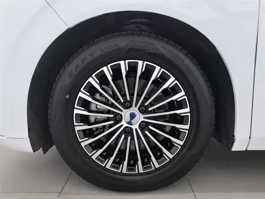 BYD D9 BYD D9 2022 EV 620 Premium Edition 2023 — миниатюра 5