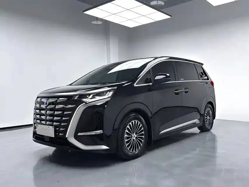 BYD D9 2024