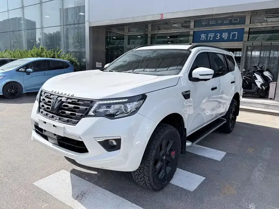 Dongfeng Paladin 2024