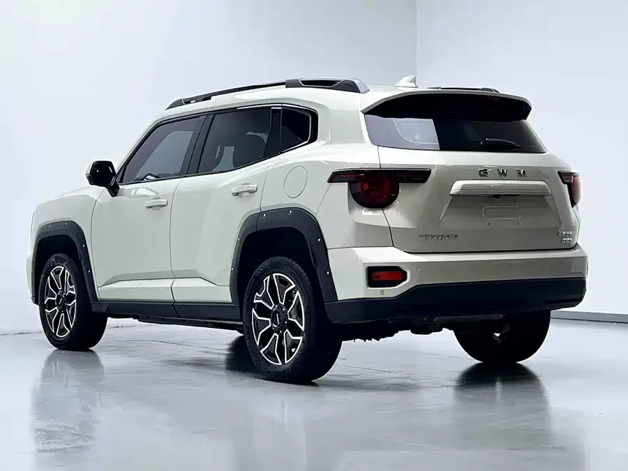 Haval Big Dog PLUS New Energy Haval Big Dog PLUS New Energy 2026 Hi4 150km Trendy Electric Edition 2025 — миниатюра 4