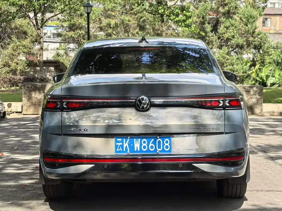 Volkswagen Magotan Magotan 2024 300TSI DSG Premium Edition 2024 — миниатюра 5