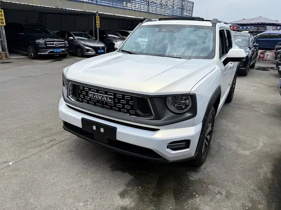Haval Big Dog PLUS Haval Big Dog PLUS 2023 2.0T 2WD Trendy Wild Edition Plus 2025 — фото 1, купить с доставкой в Москву