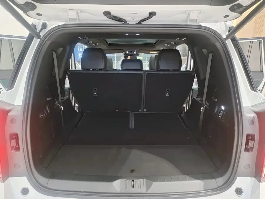 GAC Trumpchi GS8 Trumpchi GS8 2022 Dual Engine Series 2.0TM 2WD Premium Edition (7 Seaters) 2022 — миниатюра 4