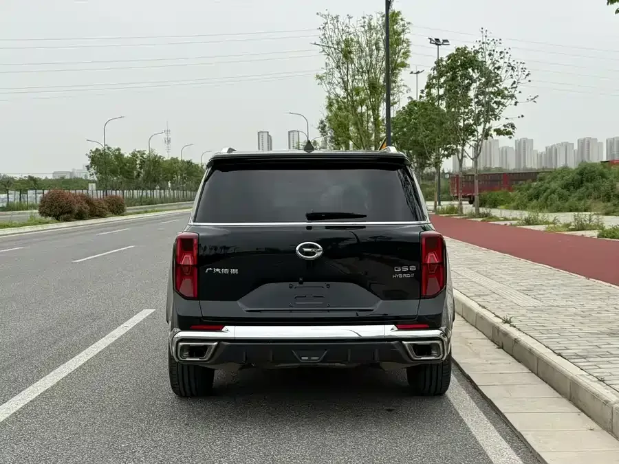 GAC Trumpchi GS8 Trumpchi GS8 2022 Dual Engine Series 2.0TM 4WD Premium Edition (7 seats) 2023 — миниатюра 5