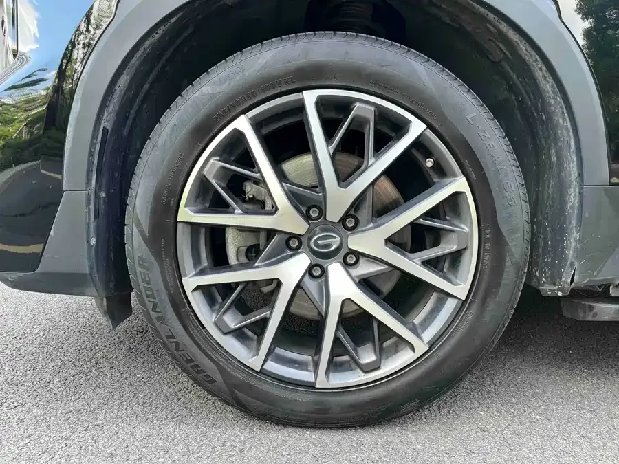 GAC Trumpchi GS8 Trumpchi GS8 2022 Pilot Series 2.0TGDI 2WD Luxury Smart Edition (7 Seaters) 2022 — миниатюра 5