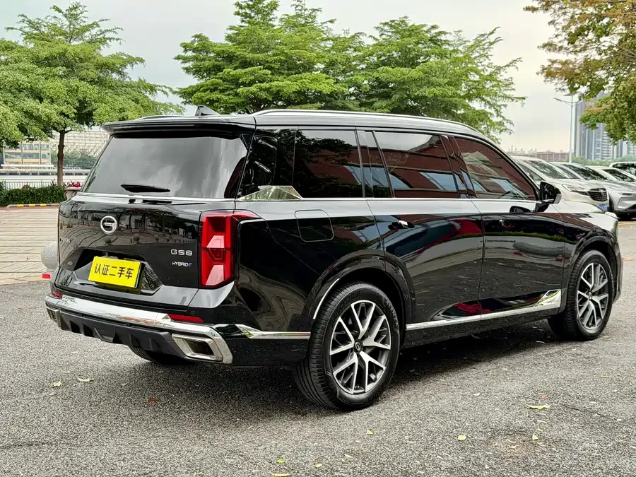 GAC Trumpchi GS8 Trumpchi GS8 2022 Dual Engine Series 2.0TM 2WD Premium Edition (6 seats) 2022 — миниатюра 2