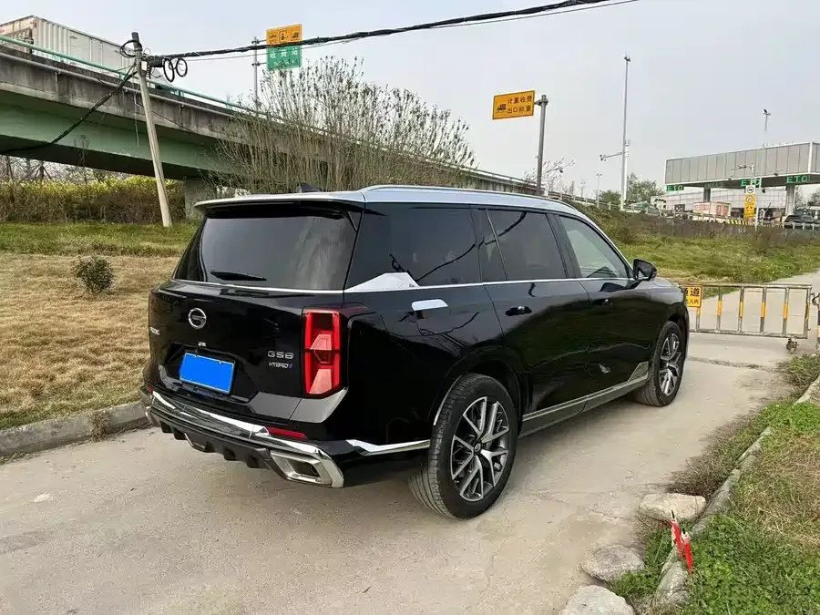 GAC Trumpchi GS8 Trumpchi GS8 2022 Dual Engine Series 2.0TM 2WD Premium Edition (7 Seaters) 2022 — миниатюра 3