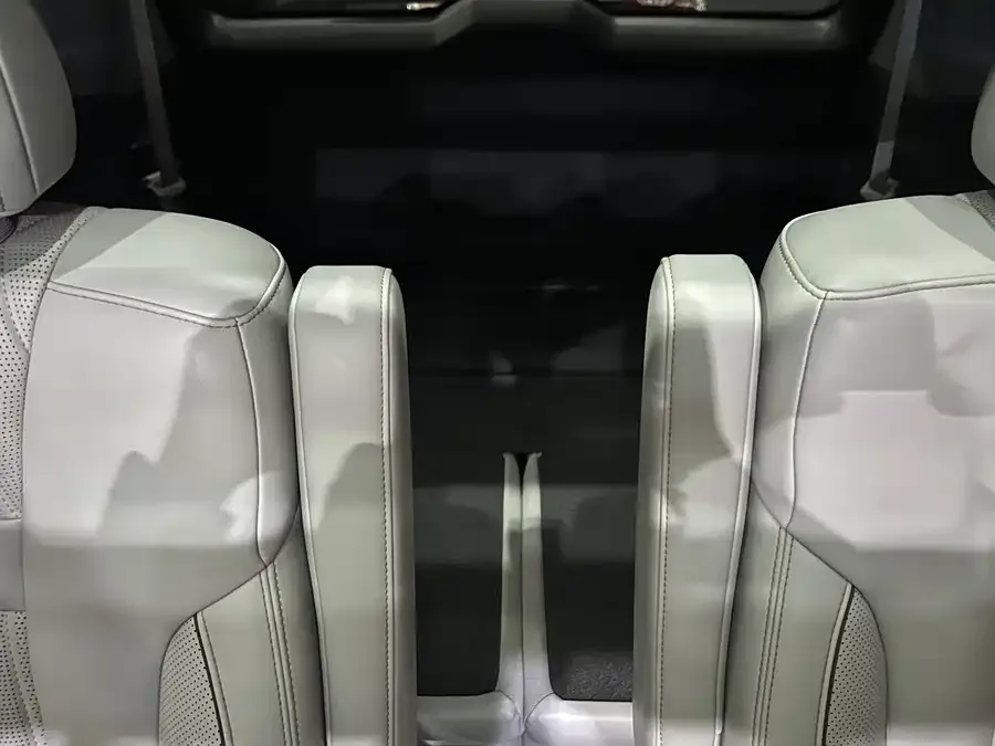 GAC Trumpchi GS8 Trumpchi GS8 2022 Dual Engine Series 2.0TM 4WD Premium Edition (6 seats) 2022 — миниатюра 3