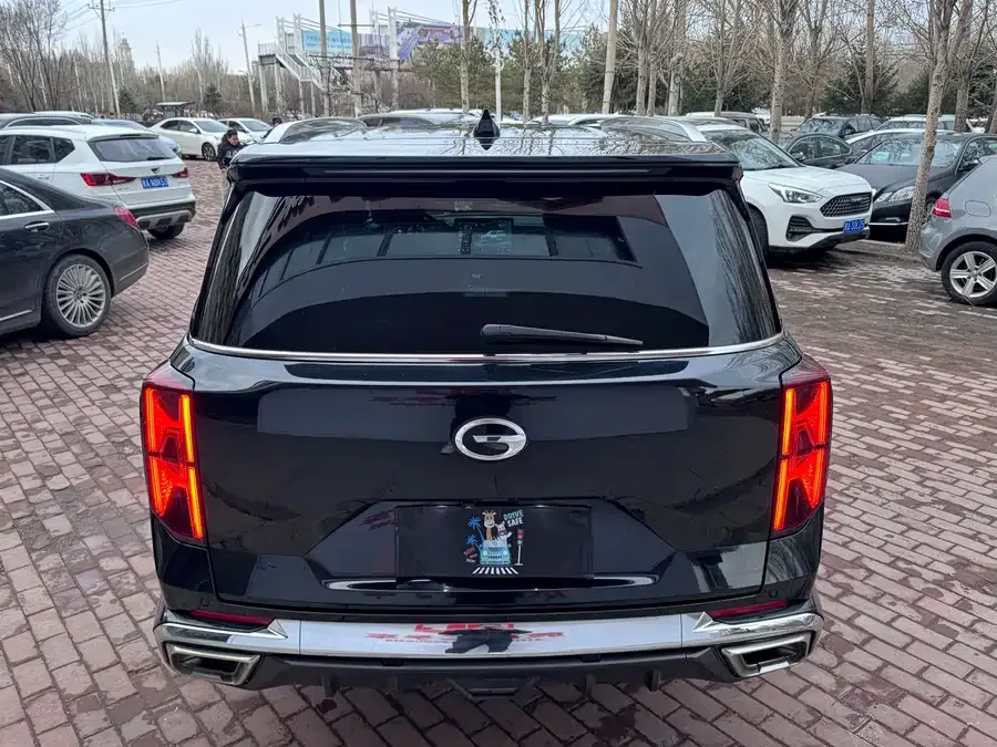 GAC Trumpchi GS8 Trumpchi GS8 2022 Dual Engine Series 2.0TM 2WD Premium Edition (7 Seaters) 2022 — миниатюра 4