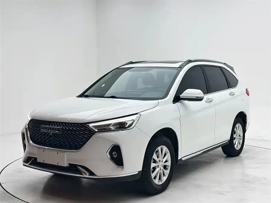 Haval M6 Haval M6 2021 PLUS 1.5T DCT Luxury Smart Connected Edition 2023 — фото 1, купить с доставкой в Москву