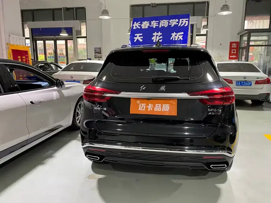 Hongqi HS5 Hongqi HS5 2022 facelift 2.0T Zhilian Qixiang Edition 2023 — миниатюра 5