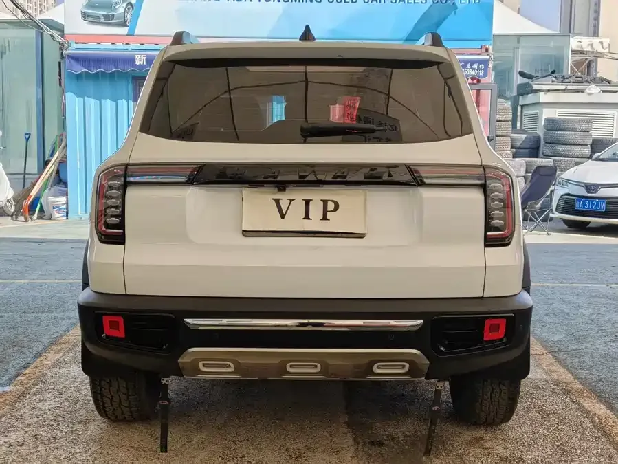 Haval Big dog Haval Big Dog 2022 2.0T DCT 4WD Chinese Pastoral Dog Edition 2023 — миниатюра 5