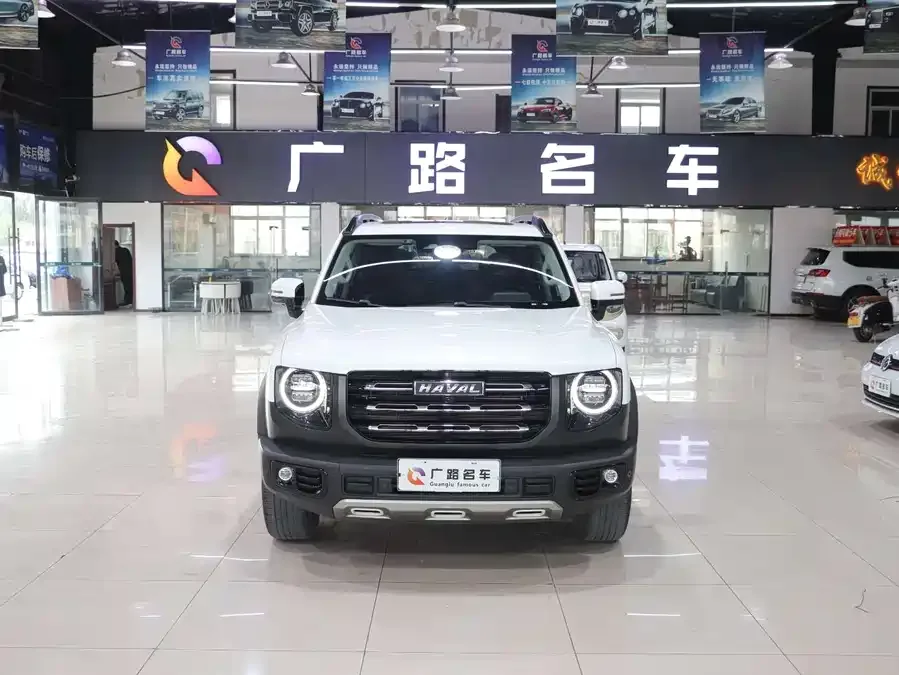 Haval Big dog Haval Big Dog 2021 2.0T DCT 2WD Chinese Hound Edition 2022 — фото 1, купить с доставкой в Москву