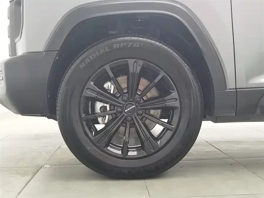 Haval Raptors New Energy Haval Raptors New Energy 2024 Hi4 102 Pro 2024 — миниатюра 5