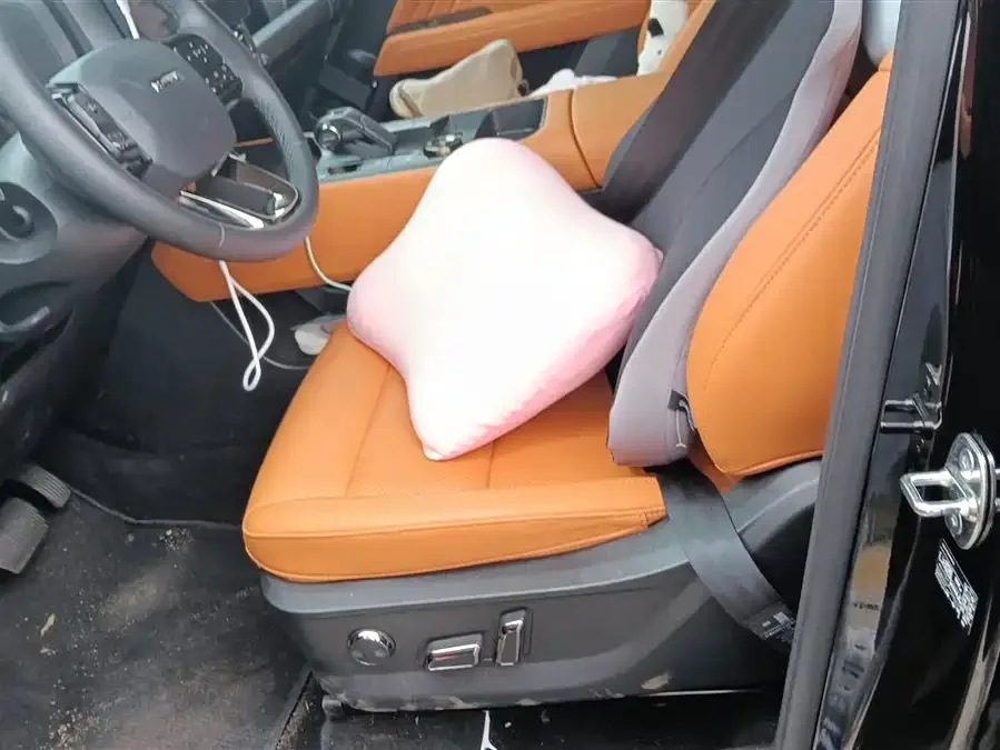Haval Raptors New Energy Haval Raptors New Energy 2024 Hi4 102 Pro 2025 — миниатюра 3