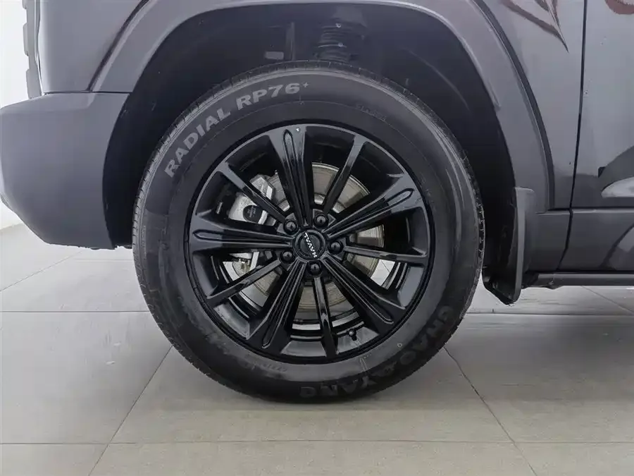 Haval Raptors New Energy Haval Raptors New Energy 2024 Hi4 102 Pro 2025 — миниатюра 5