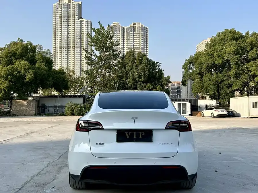 Tesla Model Y Model Y 2023 rear-wheel drive version 2024 — миниатюра 3