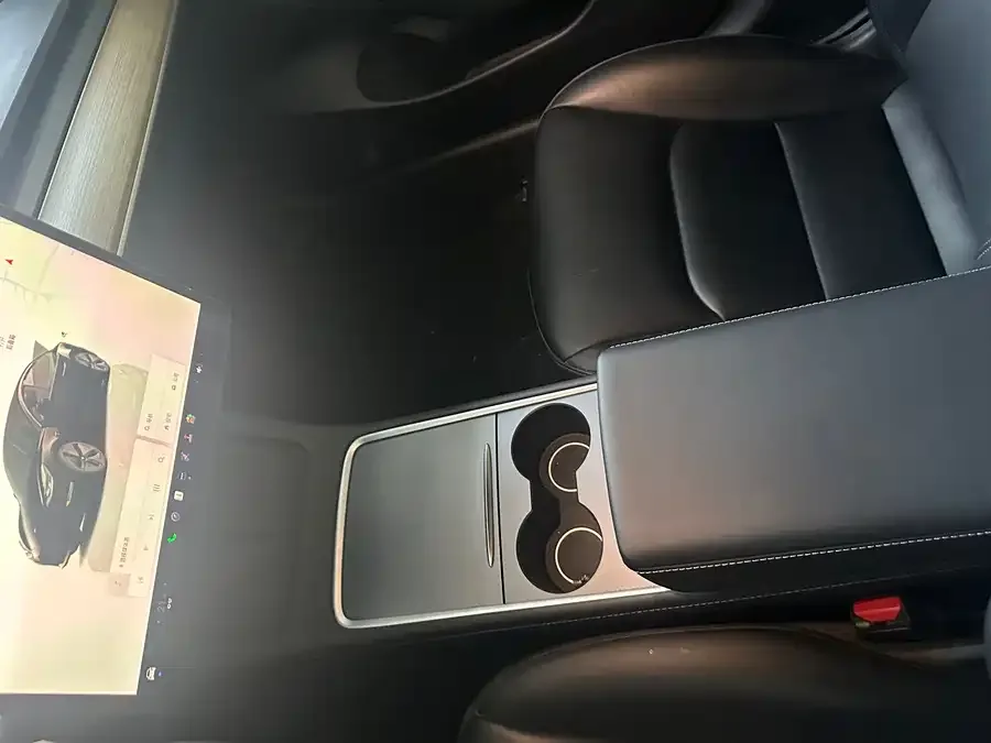 Tesla Model 3 Model 3 2022 rear-wheel drive version 2023 — миниатюра 3