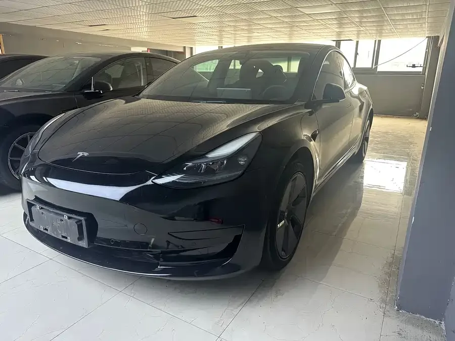 Tesla Model 3 Model 3 2022 rear-wheel drive version 2023 — фото 1, купить с доставкой в Москву