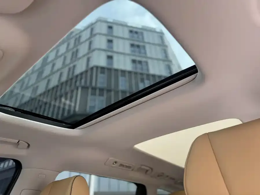BYD D9 DENZA D9 2022 DM-i 1040 Premium Edition 2023 — миниатюра 3