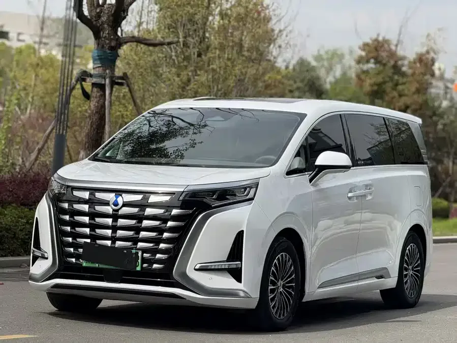 BYD D9 2023