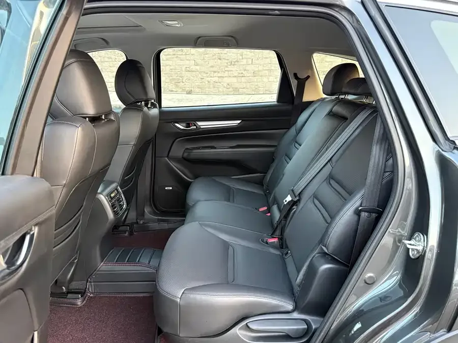 Mazda CX-8 2019 2.5L 4WD Premium Edition 2022 — миниатюра 5