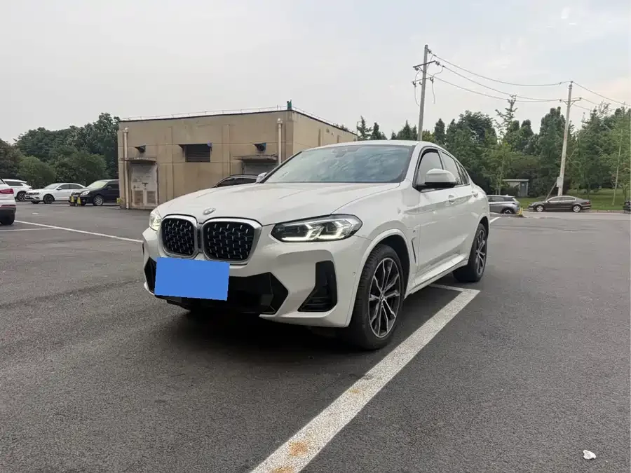BMW X4 2022