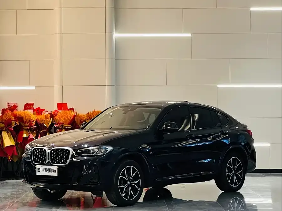 BMW X4 2024