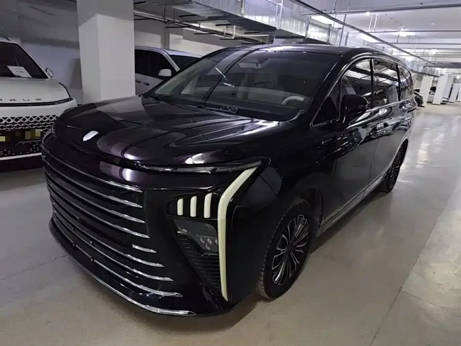 Dongfeng Xinghai V9 2024