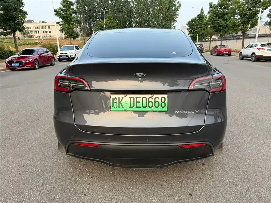 Tesla Model Y Model Y 2022 rear-wheel drive version 2022 — миниатюра 3