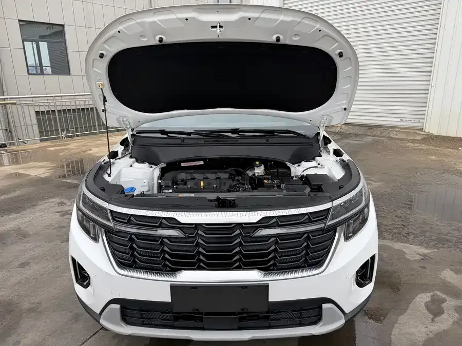 Kia Cyrus (Seltos) 2023 Certus 1.5L CVT Luxury Edition 2023 — миниатюра 4
