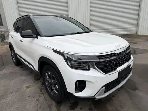 Kia Cyrus (Seltos) 2023 купить в Москве