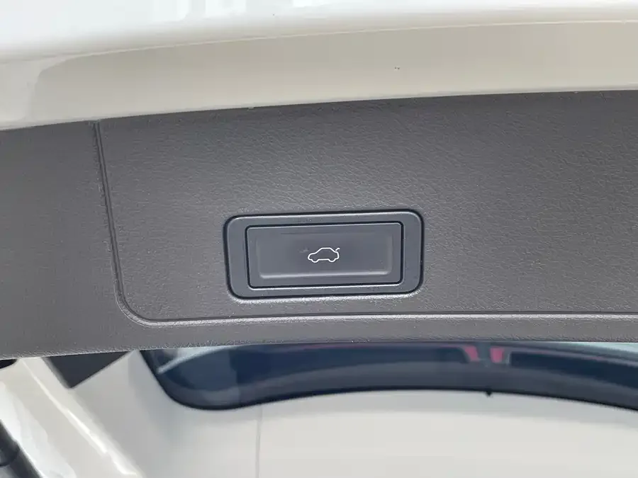 Chery Tiggo 8 Pro Tiggo 8 PRO 2024 Champion Edition 290T Two-wheel drive peak version 7 seats 2024 — миниатюра 3