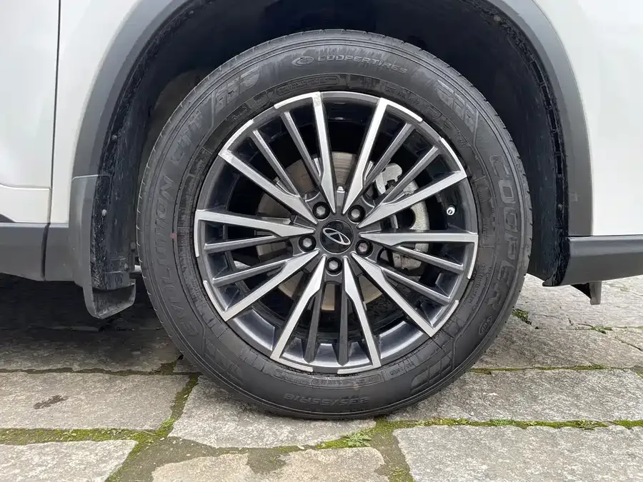 Chery Tiggo 8 Pro Tiggo 8 PRO 2024 Champion Edition 290T Two-wheel drive peak version 7 seats 2024 — миниатюра 4