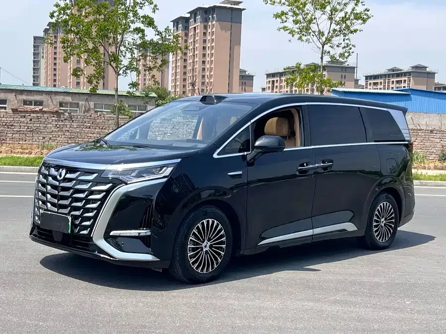 BYD D9 2025
