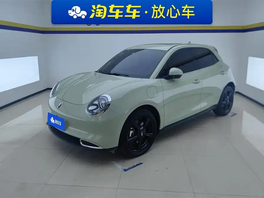 ORA Good Cat ORA Good Cat 2024 401km Luxury Model 2025 — фото 1, купить с доставкой в Москву