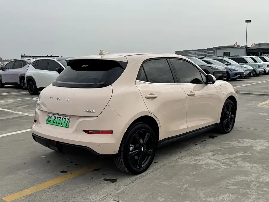 ORA Good Cat ORA Good Cat 2024 401km Luxury Model 2025 — миниатюра 4