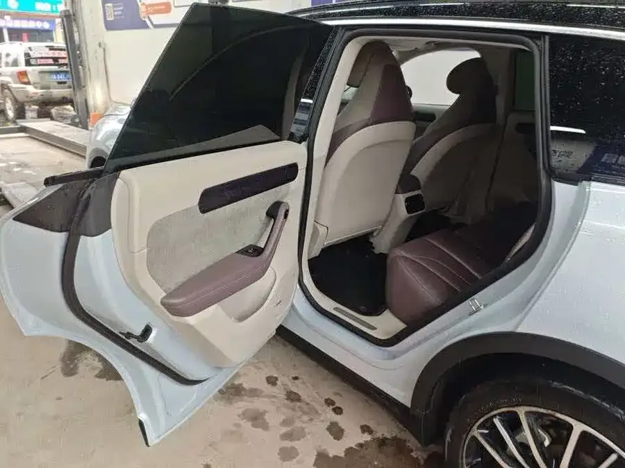 Leapmotor C11 Leapmoo C11 2021 Exclusive Edition 2022 — миниатюра 2