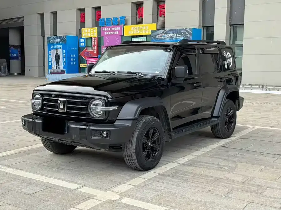 Tank 300 2024