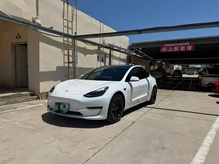 Tesla Model 3 Model 3 2022 rear-wheel drive version 2023 — фото 1, купить с доставкой в Москву