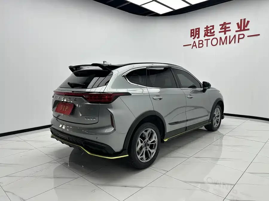 Haval Chitu (Red Rabbit) Haval Chitu 2022 Jinxiang Edition 1.5T Bronze Rabbit 2022 — миниатюра 3